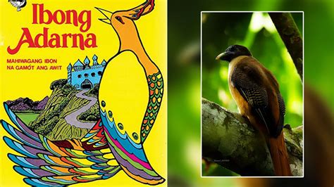  Ang Ibong Adarna: Mystiikkaa ja Moraalia Filippiiniläisessä kansansadussa!