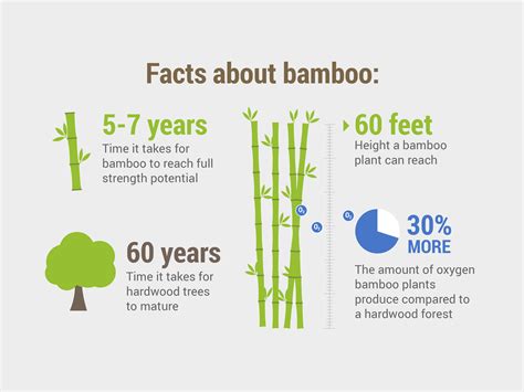  Why did the Whispering Bamboo Teach Such Valuable Lessons?